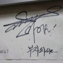 보불로(서) 이미지