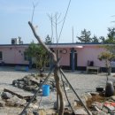 파라다이스민박 이미지