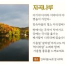 풍년농악기 네이버블로그