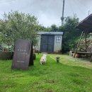 하얀고래 in 백야 | 최고의 독채 애견펜션 / 하얀고래 in 백야 (1)