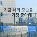 오노카센타