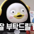 미화조류