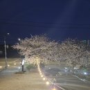 꽃지늘봄펜션 이미지