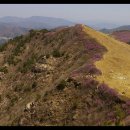 제312차 창녕 화왕산 757m (진달래 꽃 구경) 이미지