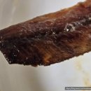 윤자네 | 롯데on쇼핑 상생페이백으로 구매한 윤자네 수산 과메기 후기ㅣ온누리 상품권 결제방법