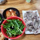 옥천순대족발 티스토리