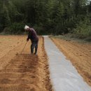 낙안농장 이미지