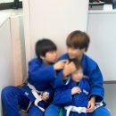 위너스유도 이미지