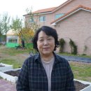 대건조이 이미지