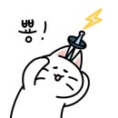 서울고양이분양 묘연 이미지