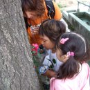 신상계병설유치원 이미지