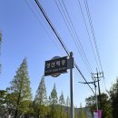 성산패총로-1 이미지