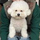 말랑말랑 이미지