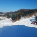 베어스타운콘도 이미지