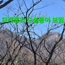 윈풀 이미지