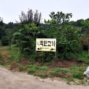 원당점 현대자동차 이미지