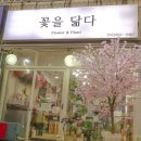 꽃을닮다 이미지