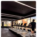 운동해야GYM 이미지