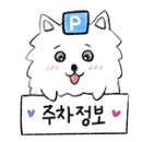 봄날안경원 이미지