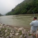 황금낚시 이미지