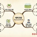 가야곡면사무소 이미지