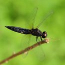 부주산산악자전거경기장 이미지