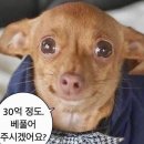 (주)애니모바일 | 2월아 돌아오지마