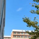 대구서동초등학교 이미지