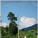 시골나들이 이미지