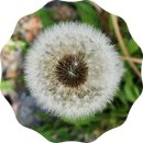 신원면사무소 이미지