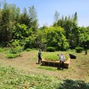 서천 부모님산소 벌초 이미지