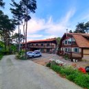 오서산 늘봄 가족독채펜션 이미지