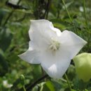 이정자농원 이미지