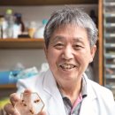 꿀벌 동물병원 이미지