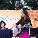 우쿨렐레 1:1 개인레슨 이미지