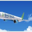 올해 베트남에 새로운 저가항공사 Bamboo Airways가 생긴다 이미지