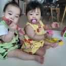 하이캠유치원 | 8개월4일- 8개월21일 육아일기