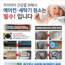 어양동-16 네이버블로그