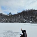 대관령 애견동반 글램핑 숙소 &lt;나 대관령왔어 펜션&gt; 후기❄️