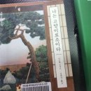 여의동공립작은도서관 이미지