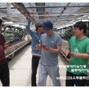 혜선농장 이미지