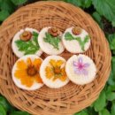 무지개마켓 이미지