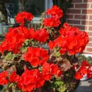 장경리펜션민박 이미지