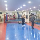 두드림 복싱 다이어트 이미지