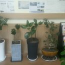 인영자동차공업사 이미지