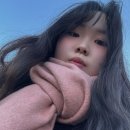 프랑스 릴 &amp; 네덜란드 암스테르담 여행