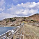 김순효자문 이미지