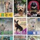 삼정의원 네이버블로그
