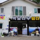 계곡보건지소 티스토리