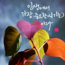 문화점핑